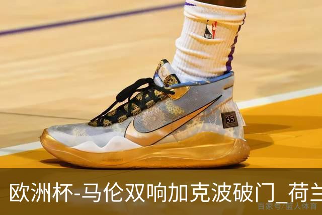 欧洲杯-马伦双响加克波破门 荷兰3-0罗马尼亚